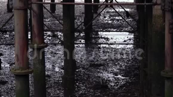 南端码头下泥中的金属支架视频的预览图
