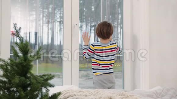 圣诞节早晨在窗边的孩子视频的预览图