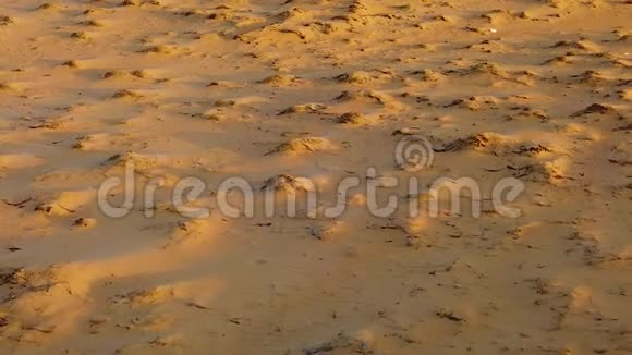 高清慢动作视频顶部视图在撒哈拉沙漠非洲沙子上有美丽的波浪TT视频的预览图
