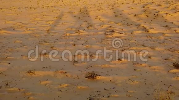 非洲塞内加尔罗普勒沙漠沙丘上骆驼影子的慢动作视频骑马的人剪影视频的预览图