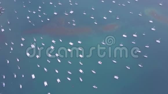 马提尼克岛和加勒比海岛屿的海滩鸟瞰图视频的预览图