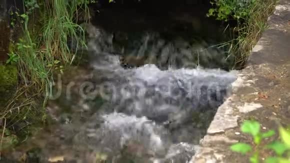 山涧水流的景色视频的预览图
