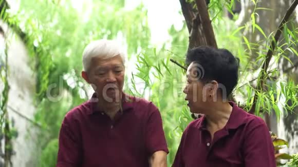 会说话的亚裔夫妇坐在绿柳树下的公园里视频的预览图