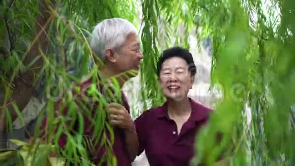 绿柳树背景下一对退休的亚裔夫妇笑得很开心视频的预览图