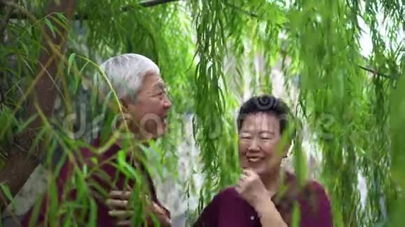 一对退休的亚裔夫妇在绿柳树下欢笑视频的预览图