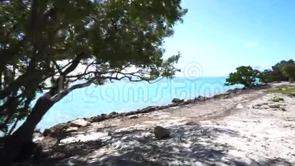 蓝天绿红树的海滨景色视频的预览图