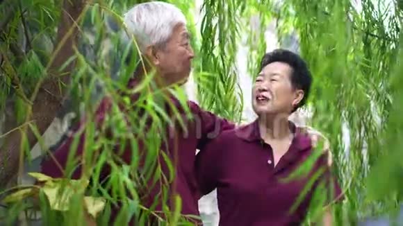 一位退休的亚裔老人幸福地在绿柳树下欢笑视频的预览图