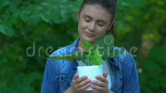 女孩在森林背景下拥抱家庭植物家庭空气净化氧气视频的预览图