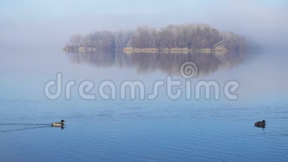 秋天雾蒙的清晨在河边视频的预览图
