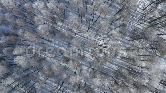 在冬天看到一片覆盖着雪的冰冻森林在冬季森林上空飞行俯视视频的预览图