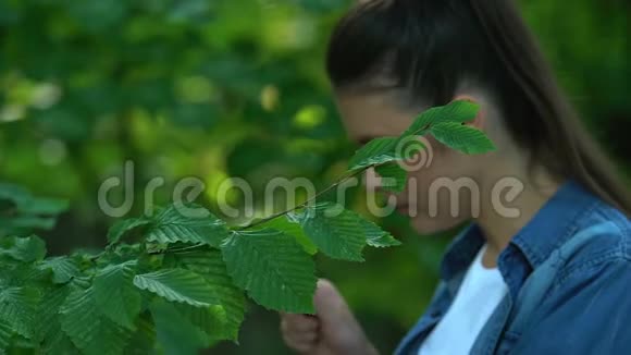女人用放大镜观察树叶探索自然生态视频的预览图
