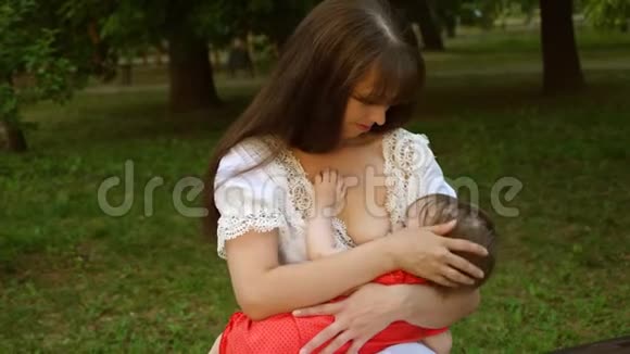 快乐的妈妈在公园的长椅上给婴儿喂奶第一次喂养儿童期间的父母照顾在空旷的地方视频的预览图