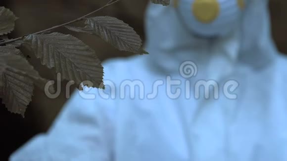 科学家研究树叶杀虫剂的影响生态污染视频的预览图