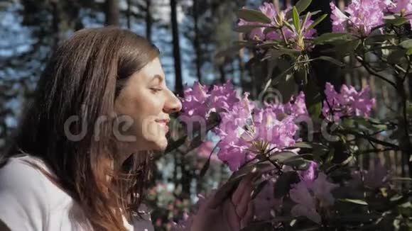 女人嗅着粉红色绽放的花朵特写视频的预览图