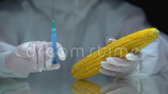 实验室工作人员在玉米转基因食品生产中注射液体视频的预览图