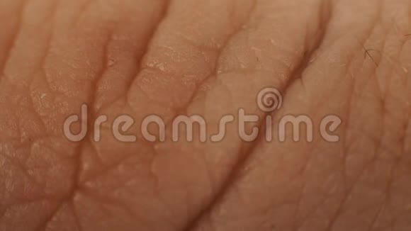宏观皮肤褶皱皱纹之间的远端和中间指骨在手指上白人男性白种人的身体部位视频的预览图