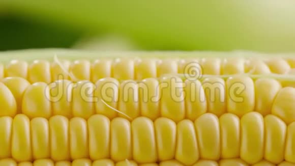 玉米芯上成熟玉米粒的质地视频的预览图