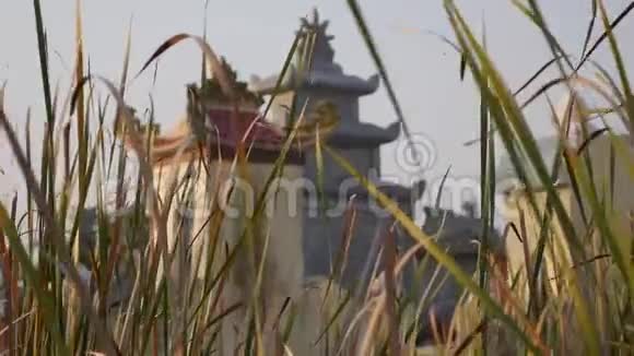 越南长满青草的佛教墓地里有墓碑的坟墓视频的预览图