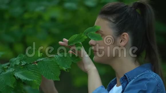 美丽的女人抚摸着树叶用手指显示出心迹热爱大自然视频的预览图
