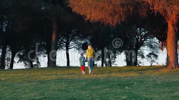 妈妈和宝宝在公园里放松快乐童年的概念宝贝牵着妈妈的手家庭幸福宝宝走路视频的预览图