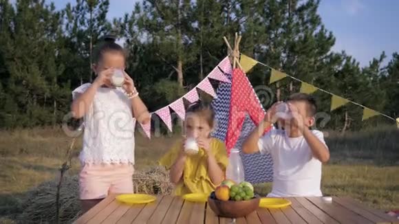 在森林里野餐快乐的孩子们在午餐时喝牛奶在夏天的背景下在大自然中放松视频的预览图