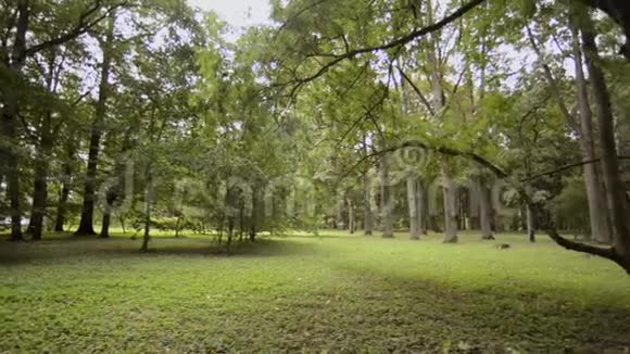 潘夏天公园视频的预览图