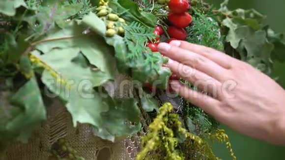 人类的手抚摸着地球母亲的水果和鲜花服装大自然的财富视频的预览图