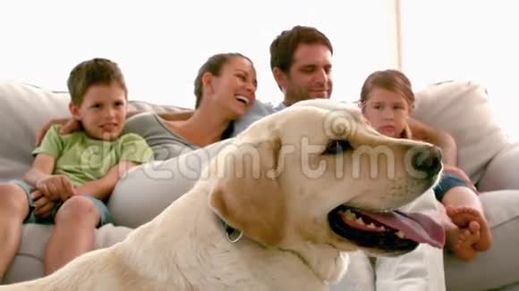 一家人坐在沙发上前面是拉布拉多犬视频的预览图