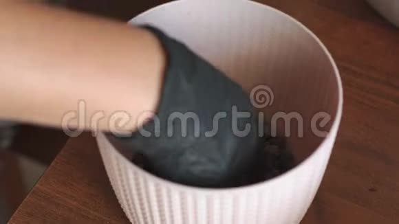一个戴着黑色手套的女人的特写镜头倒在花盆里视频的预览图