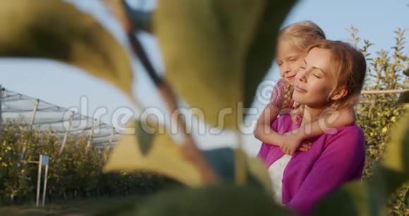 小女孩抱着妈妈看着夕阳苹果园4k视频的预览图
