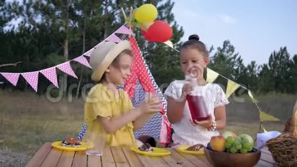 在森林里野餐快乐的小雌性孩子解渴在乡村旅行的午餐时喝果汁视频的预览图
