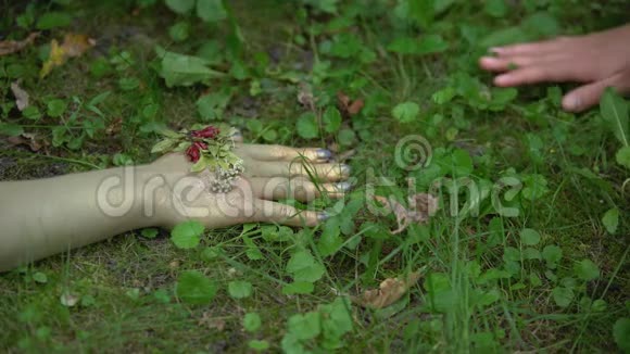 女人牵着大地母亲手在森林地面上生命赋予力量自然视频的预览图