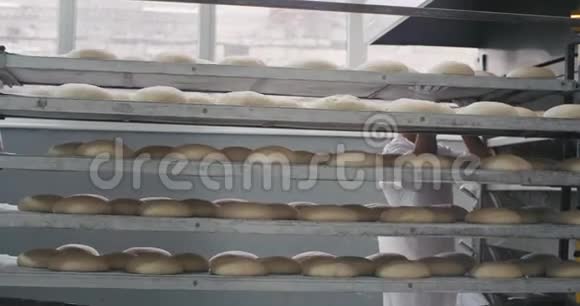 一家面包厂的详细情况一大批原料面包等待在工业烤箱机器上装载两个视频的预览图