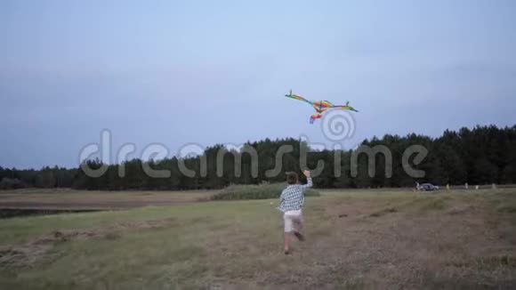 快乐的男孩活泼的男孩周末带着风筝在森林里的草地上奔跑背景是树木和天空视频的预览图