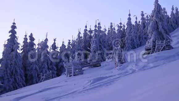 美丽的白色和冰冻的树木与日出在捷克共和国欧洲山脉里萨霍拉玩颜色游戏勃朗兹和达视频的预览图