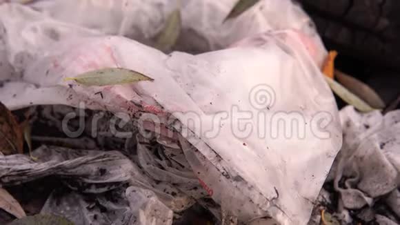 自然的塑料污染塑料袋和草地上的黄叶视频的预览图