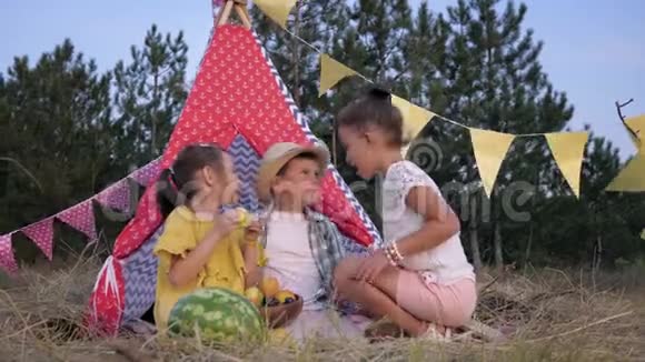 孩子们在乡下小可爱的朋友在夏天的周末野餐时在森林的草地上分享时光视频的预览图