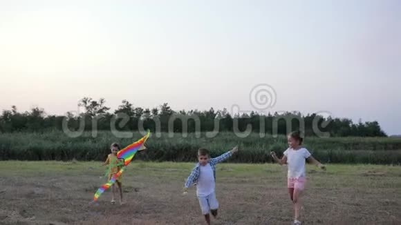 朋友们玩耍林间空地上的小孩子们一边放风筝一边在大自然的天空和芦苇中放松视频的预览图