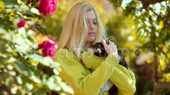 积极的人类情绪面部表情漂亮的年轻女人和可爱的猫在户外休息春天和落叶视频的预览图