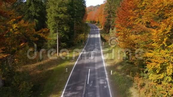 秋天的空路绿橙红四色鲜艳的树木视频的预览图