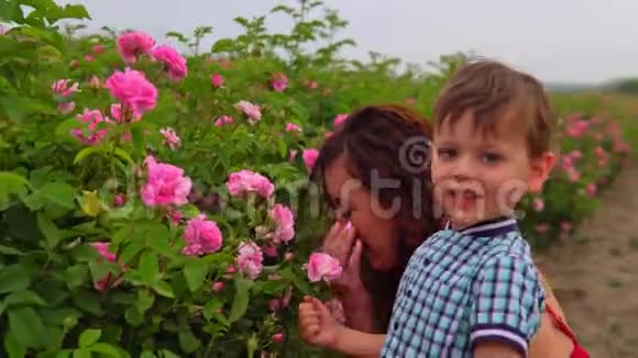 妈妈带着小儿子在玫瑰园视频的预览图