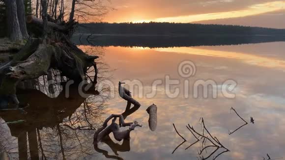 日落时的海岸如诗如画的夕阳宁静的水水中的树木水中的镜子云被照亮视频的预览图