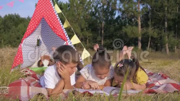 孩子们在野餐时看书可爱的孩子们在夏天的周末在树林里放松时喜欢读有趣的故事视频的预览图