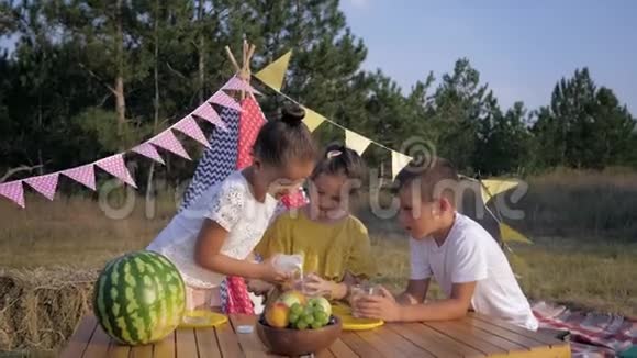 孩子们在野餐可爱的小女孩照顾心爱的朋友在假期吃零食时倒牛奶视频的预览图