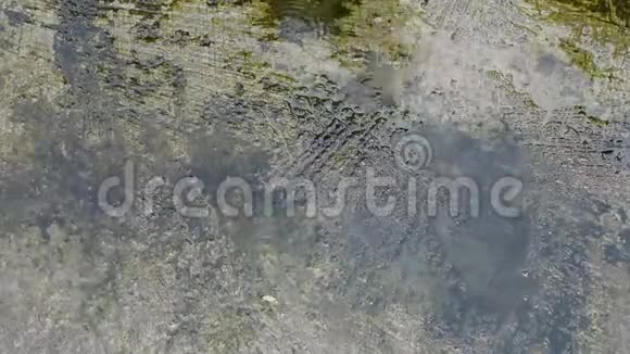 秋天的雨水滴落在沥青上的大水坑里淹没了街道视频的预览图
