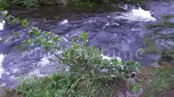美丽的哈兹山林夏季景观粗糙的水流视频的预览图