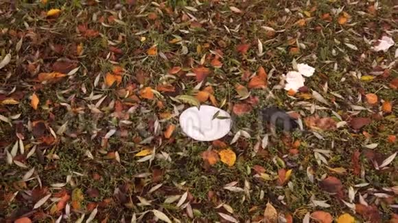 自然的塑料污染一次性塑料板落在草地上视频的预览图