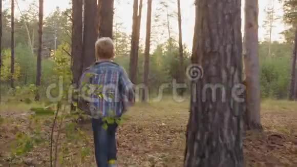 少年在美丽森林中奔跑的后景视频的预览图