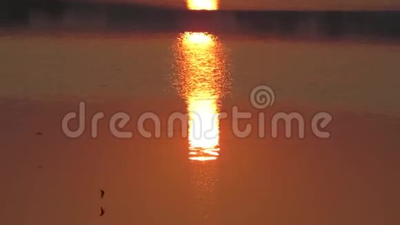 日出倒影湖水和飞鸟视频的预览图