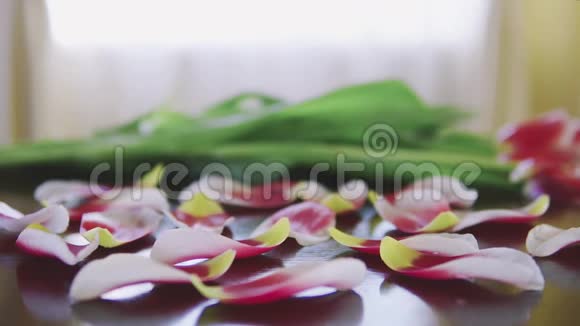 桌上放着浪漫的粉红色花瓣上面有黄色的郁金香视频的预览图